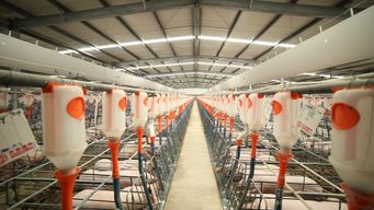 復(fù)產(chǎn)集結(jié)號(hào)吹響 齊心協(xié)力保衛(wèi)養(yǎng)豬業(yè)，保障飼料供應(yīng)穩(wěn)定