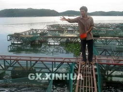 橫縣水產(chǎn)養(yǎng)殖業(yè)蓬勃發(fā)展，畜牧漁業(yè)飼料行業(yè)迎來(lái)新機(jī)遇